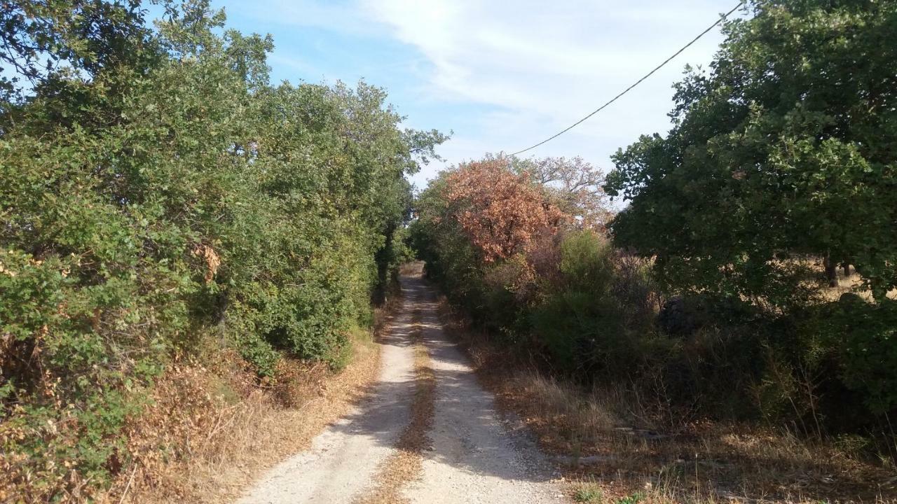Agriturismo Sa E Padedda Mores Buitenkant foto