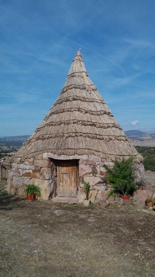 Agriturismo Sa E Padedda Mores Buitenkant foto