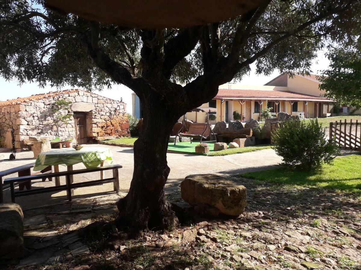 Agriturismo Sa E Padedda Mores Buitenkant foto